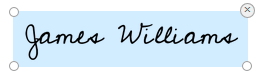Document with Typed Signature